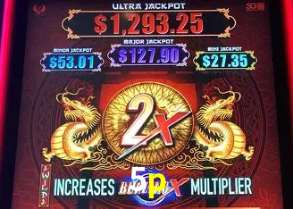 5p Salvador - Studio Tour